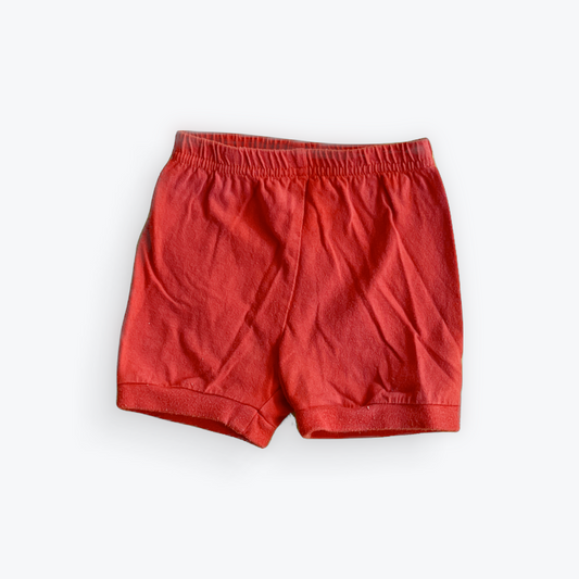 Short Tag 12 mois