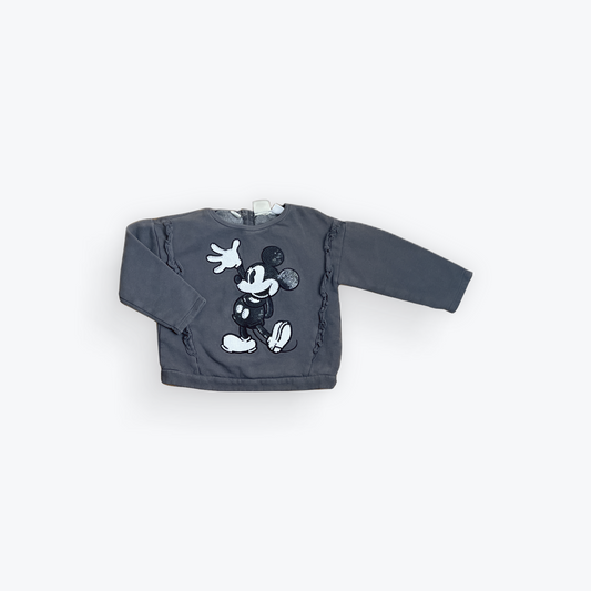 Chandail Disney Zara 3-4 ans