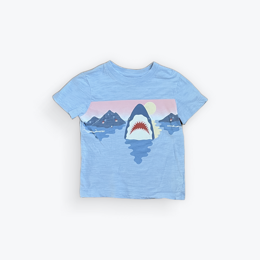 T-shirt Gap 2 ans
